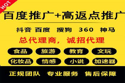 SEM推广公司成功案例：助力企业实现品牌多元化发展