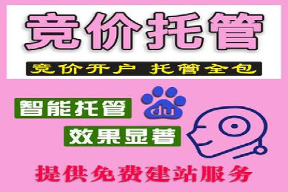 行业领先企业的SEM竞价推广策略揭秘