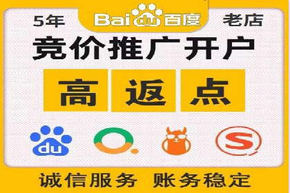 竞价推广实战：经典案例深度解析